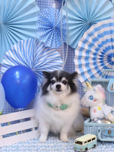 20231128ミルクくん